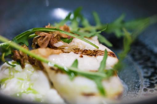 Poisson nacré, roquette et sauce yaourt