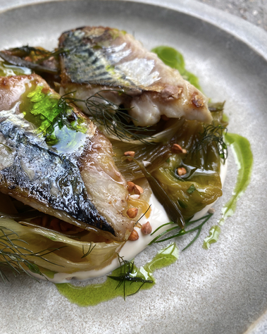 Grilled fish with greens and sauce on a plate.