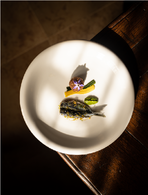 Assiette minimaliste avec une petite portion de poisson délicatement préparé, accompagné de légumes finement coupés et d'une garniture florale, le tout présenté sur une assiette blanche éclairée par une lumière naturelle douce.
