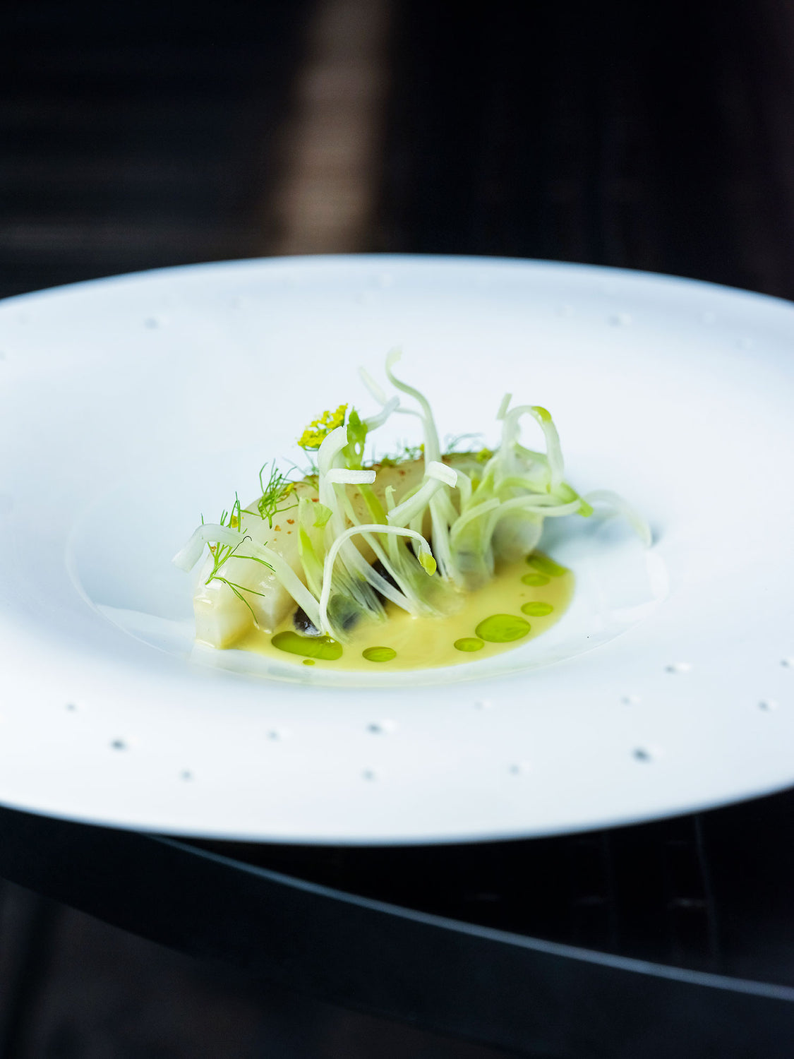 Plat gastronomique élégant à base de fenouil délicatement dressé, accompagné d'une sauce jaune et de touches d'huile verte pour un contraste visuel et gustatif.