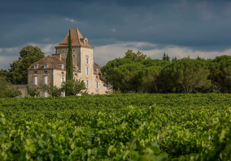 Atelier de dégustation - Cuvées d'exception