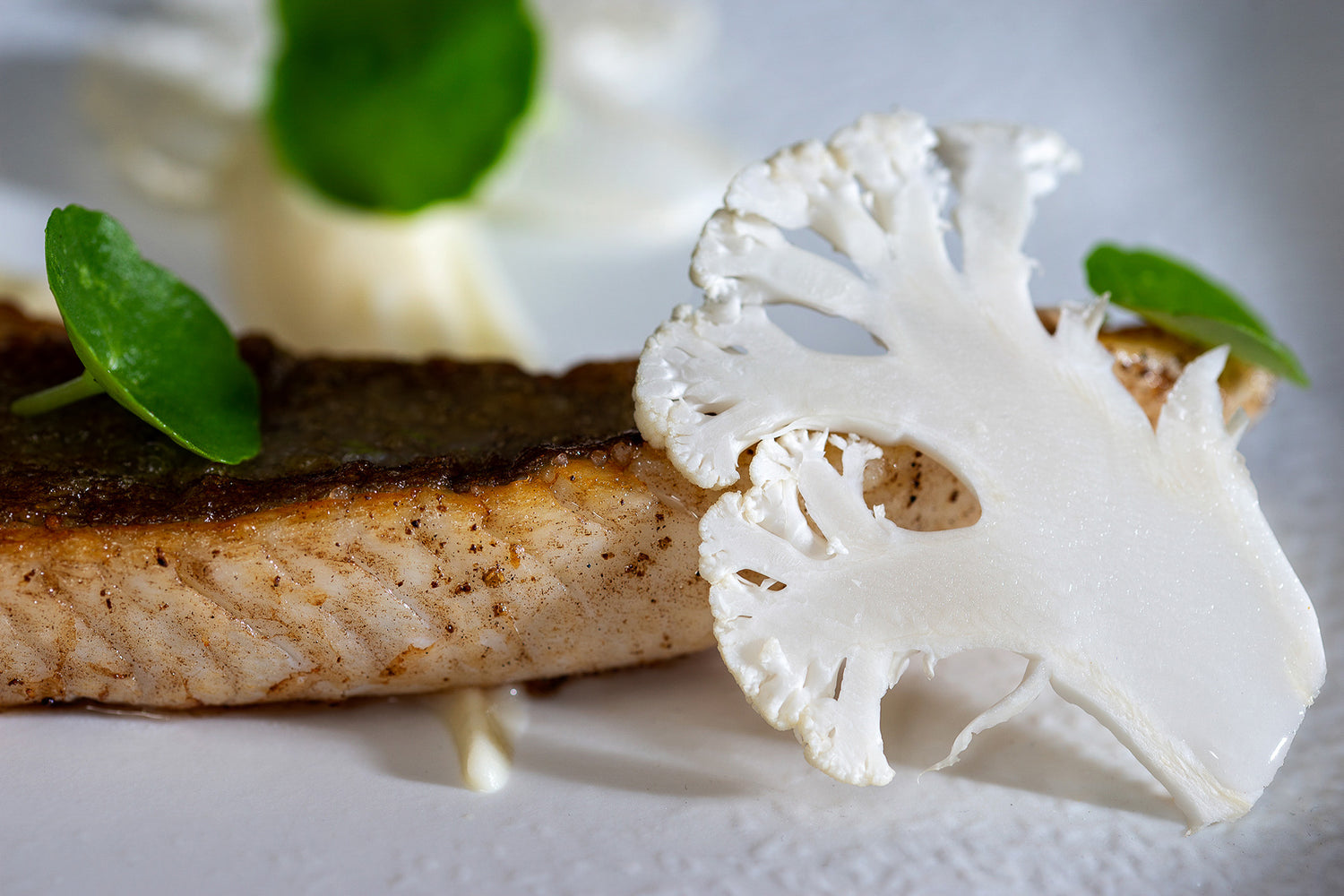 Filet de poisson snacké, feuille de capucine et chou fleur cru à la mandoline