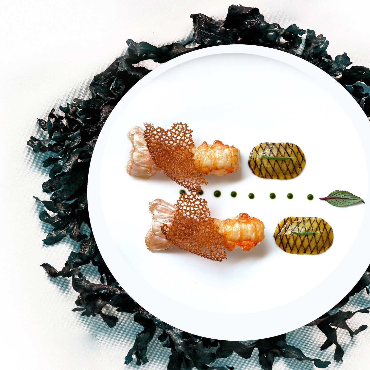 Assiette gastronomique avec des langoustines et des légumes finement décorés, entourée de morceaux de légumes grillés, sur un fond blanc.