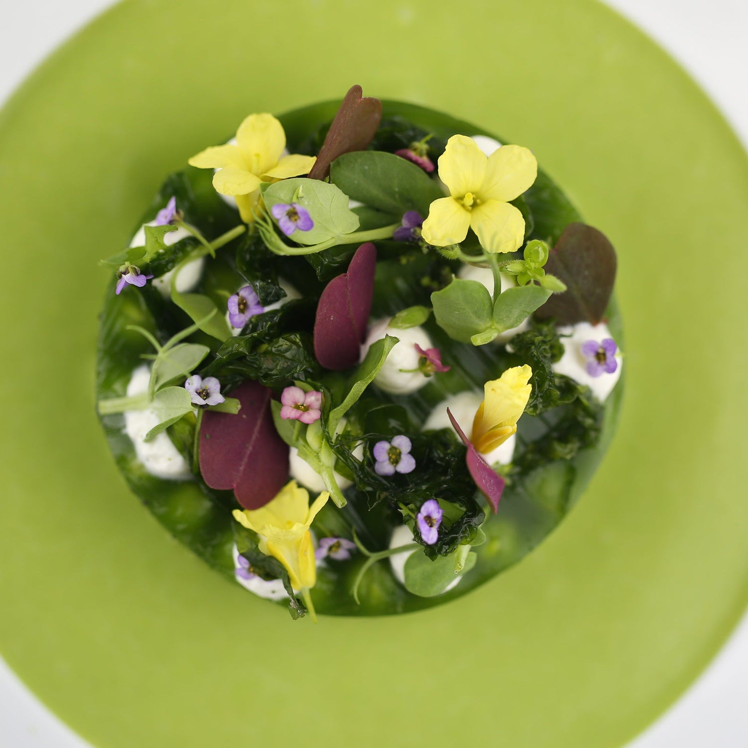 Assiette de salade composée de légumes verts et de fleurs comestibles, présentée de manière artistique sur une assiette blanche avec un fond vert.