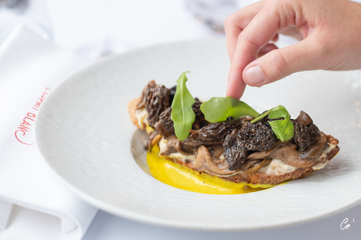 Gros plan sur une assiette gastronomique composée d'une tranche de pain garnie de morilles, de champignons et de jeunes pousses, accompagnée d'une sauce jaune crémeuse, avec une main ajoutant une touche finale.