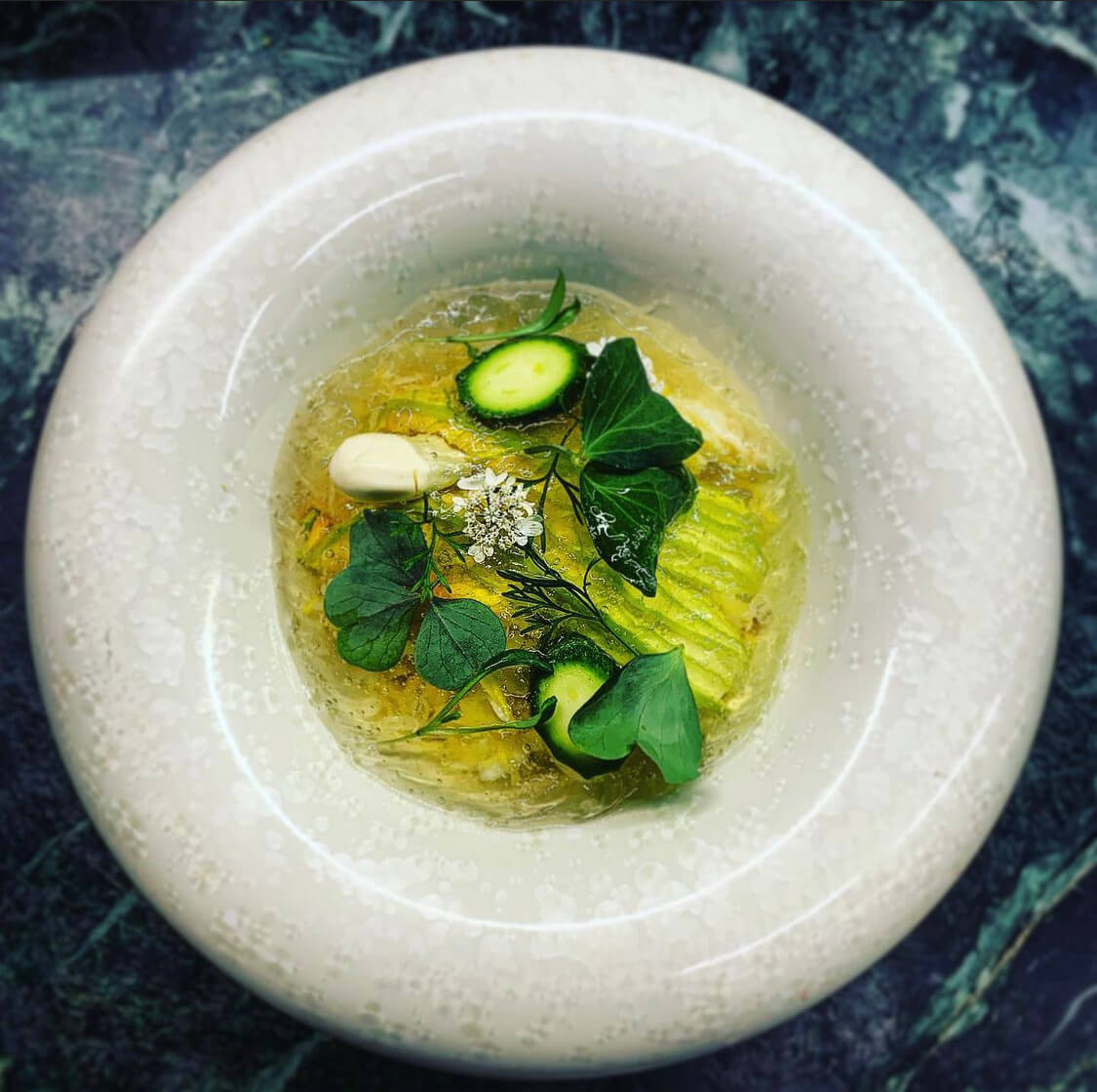 Plat gastronomique avec légumes et herbes sur gelée.
