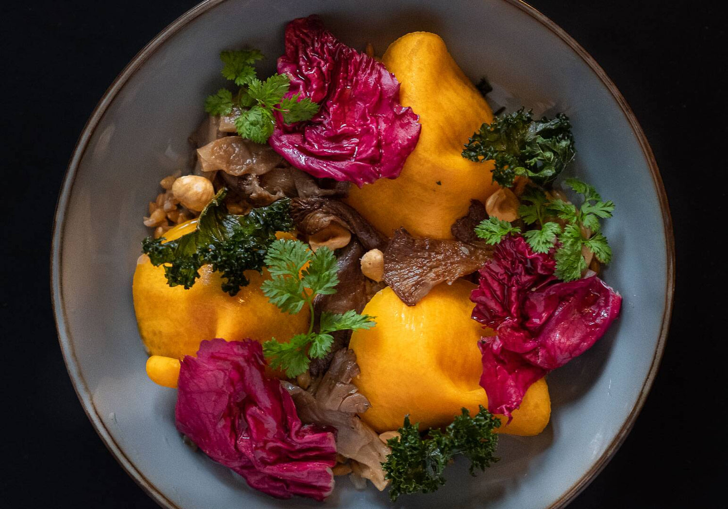 Bol végétarien, purée orange, champignons, noisettes torréfiées, salade rouge frisées, chou kale fris et pousse de cerfeuil