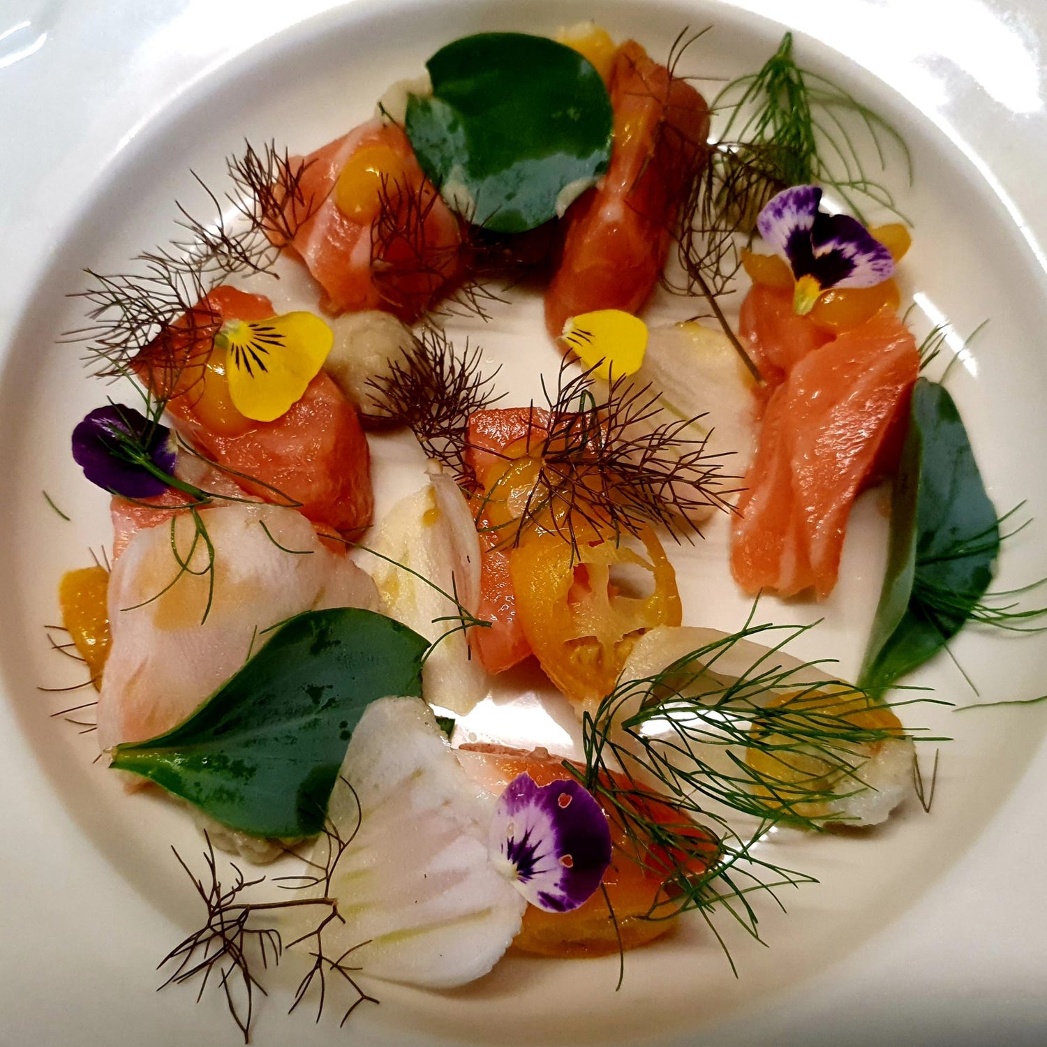 Gravlax de saumon, aneth, et fleurs comestibles