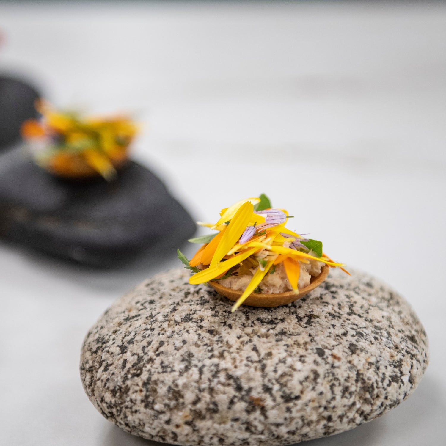 Menu Astrance avec accords au dîner