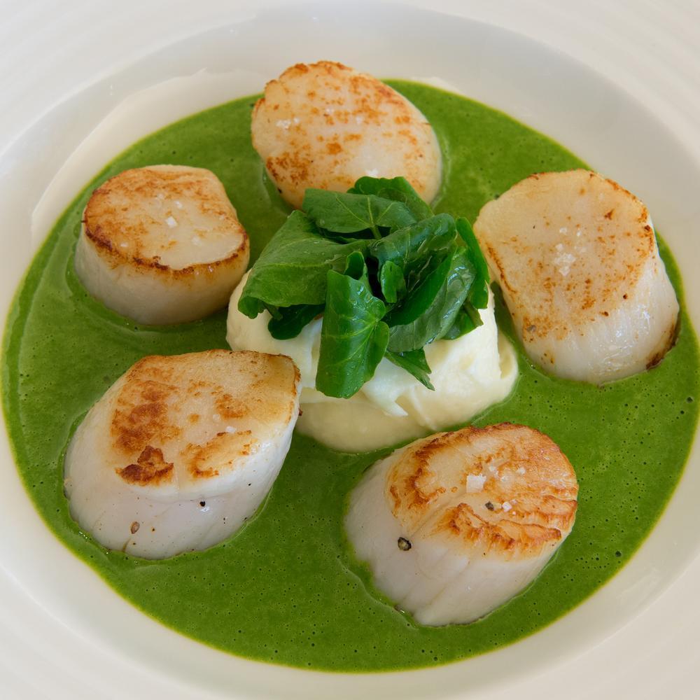 Une assiette de coquilles Saint-Jacques dorées servies sur un lit de purée de pommes de terre avec une sauce verte, le tout décoré avec des légumes verts. Le plat est appétissant et joliment présenté.