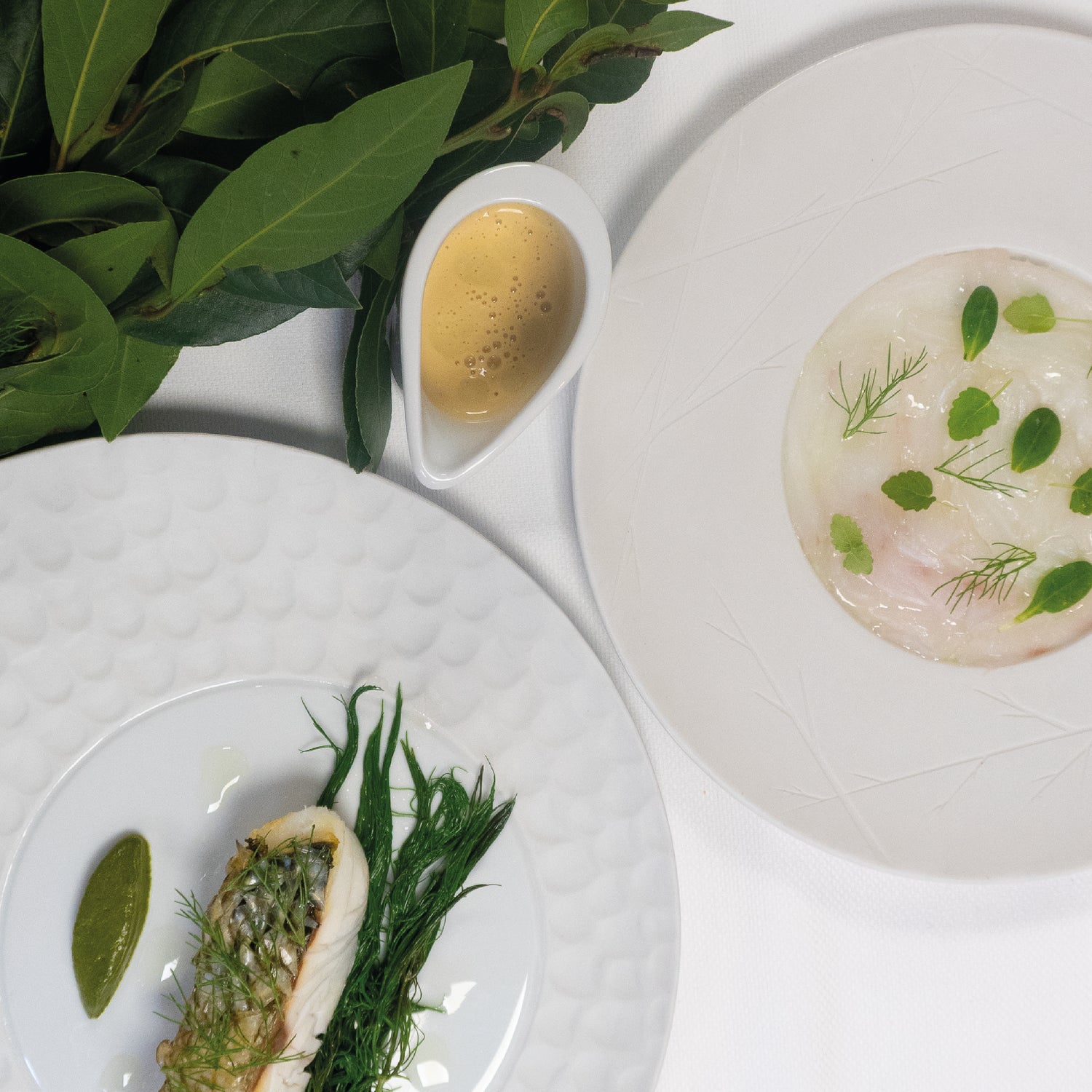 Filet de bar rôti servi avec herbes fraîches et sauce, dressé de manière raffinée sur assiette blanche texturée.