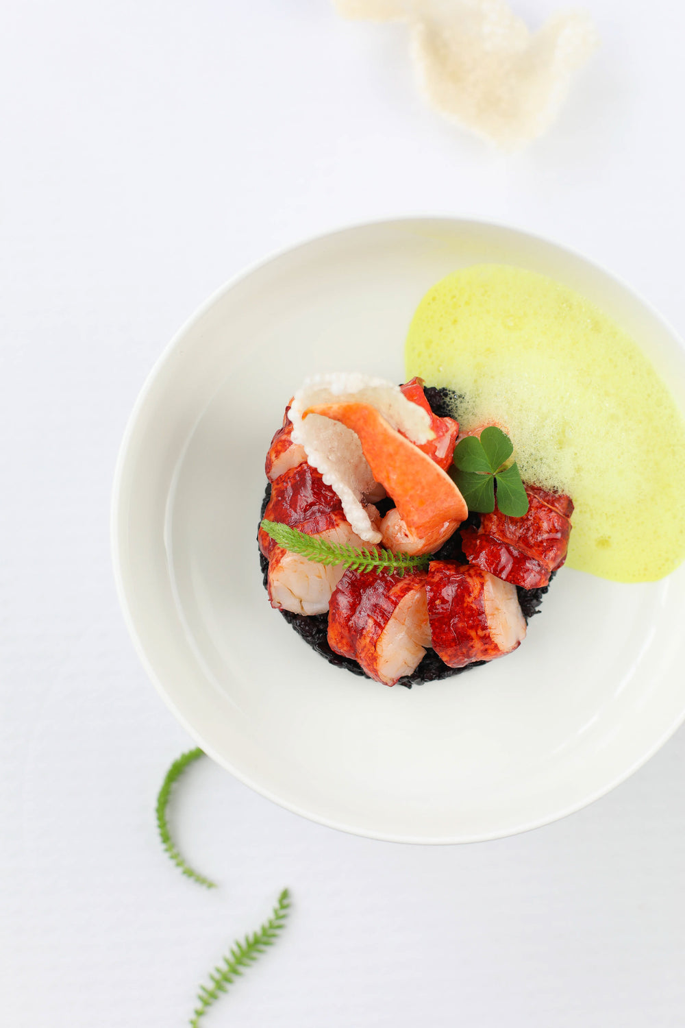 Plat gastronomique, composé de homard, fleur comestible et espuma léger