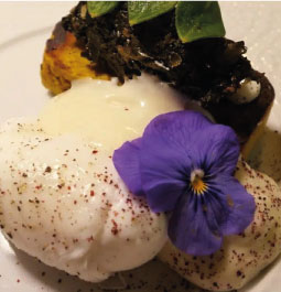 Purée de chou fleur, et fleur comestible plat végétarien