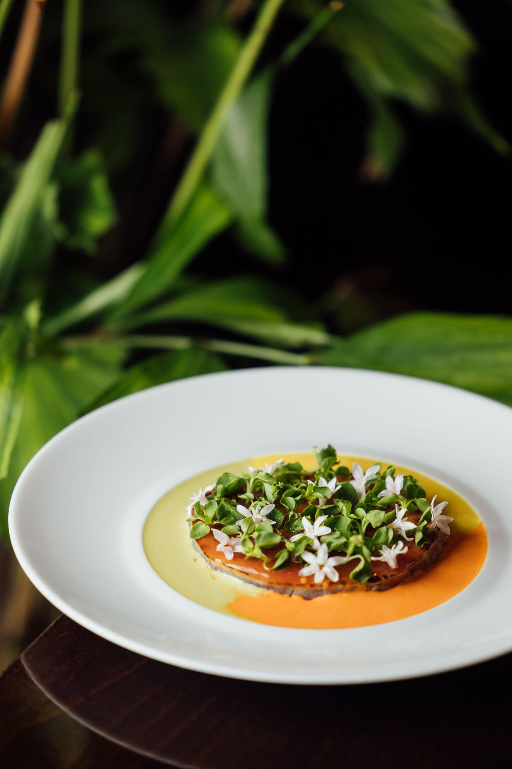Plat gastronomique avec des herbes fraîches et fleurs blanches sur une sauce colorée