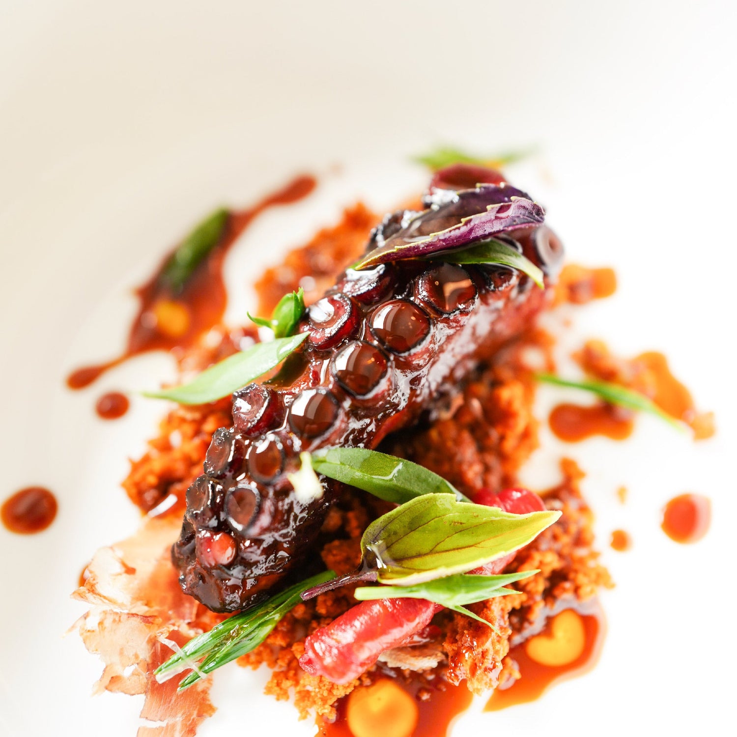 Plat gastronomique avec un tentacule de poulpe grillé, des herbes fraîches et une sauce rouge, présenté sur une assiette blanche.