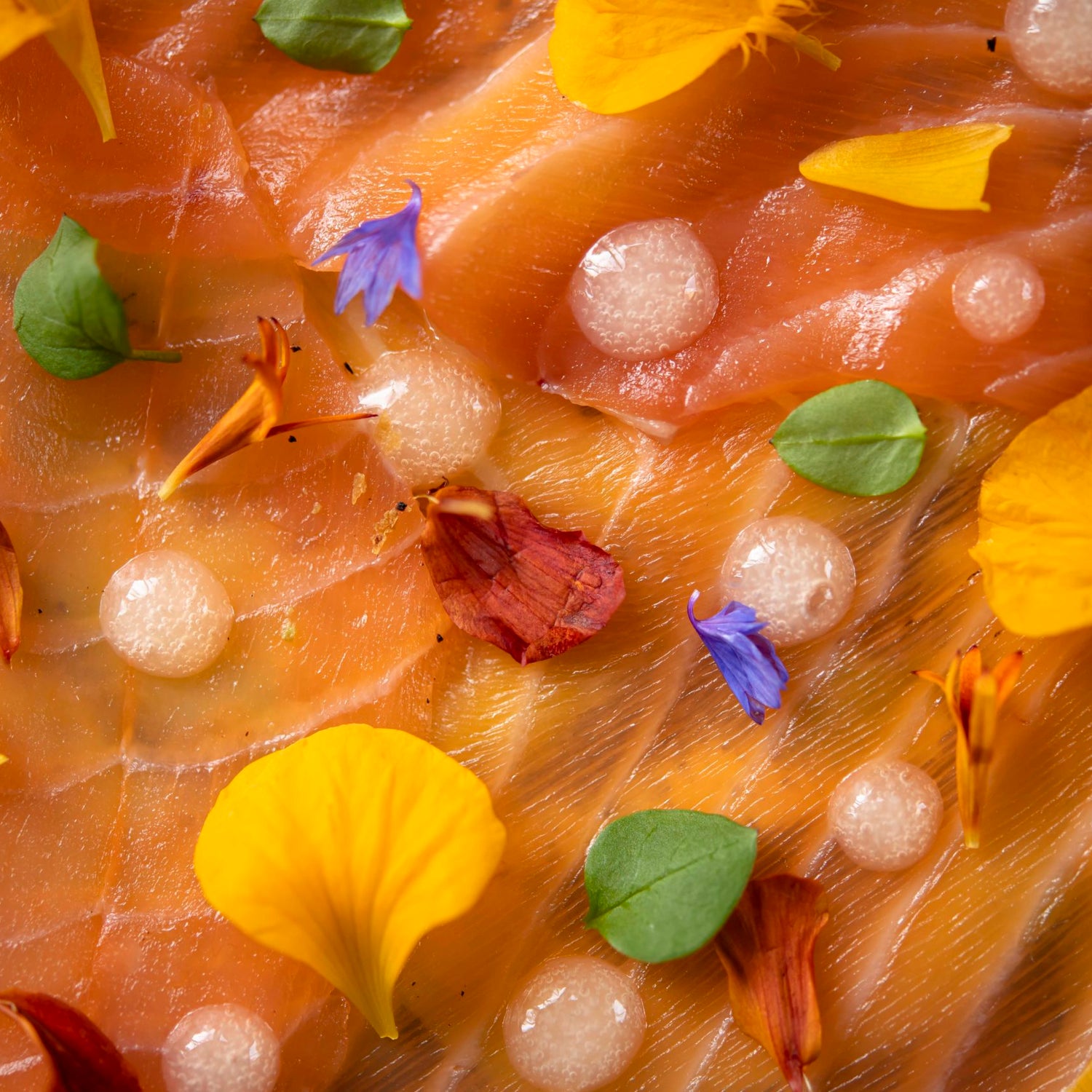 Entrée composée d'une fine tuile, crème d'avocat, saumon fumé et fleurs comestibles