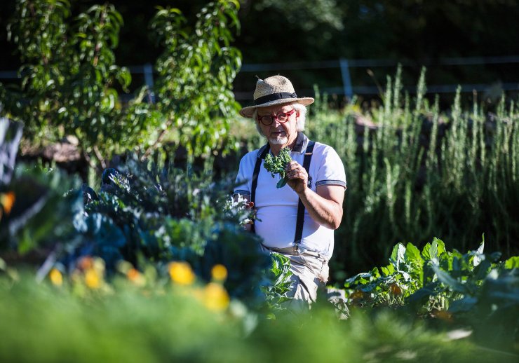 Découverte Jardins & Cuisine