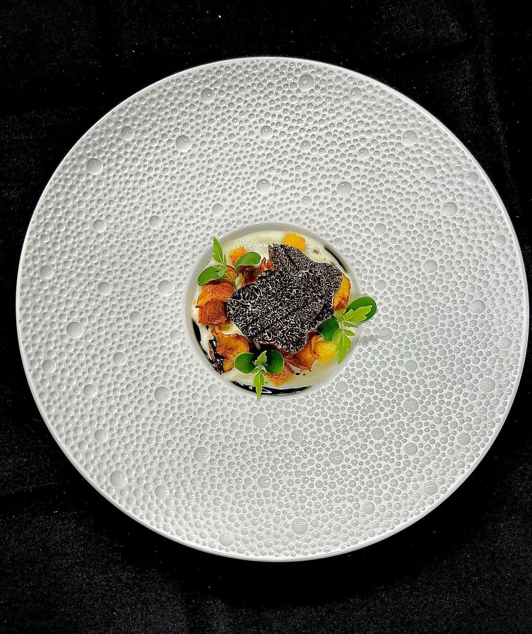 Menu végétarien 5 services avec fromages