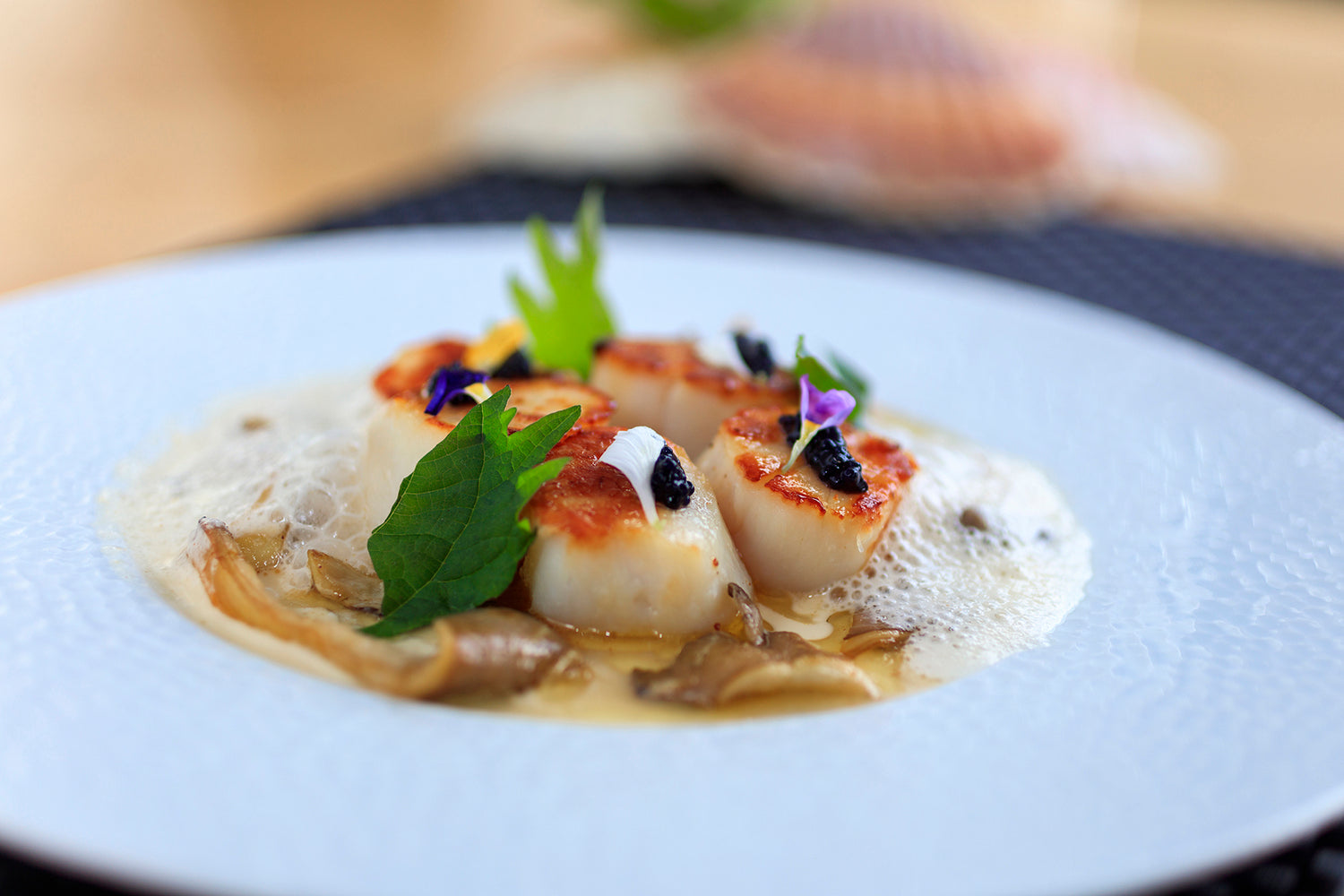 "Coquilles Saint-Jacques dorées accompagnées de mousse et de légumes"






