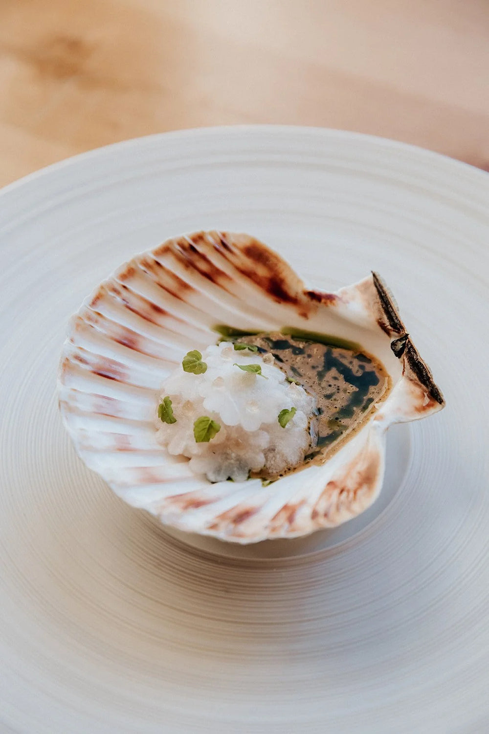 Plat raffiné dans une coquille Saint-Jacques.