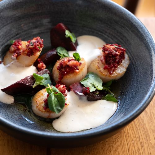 Entrée gourmande et gastronomique composée de saint jaques, topping à la betterave et sauce onctueuse à la crème