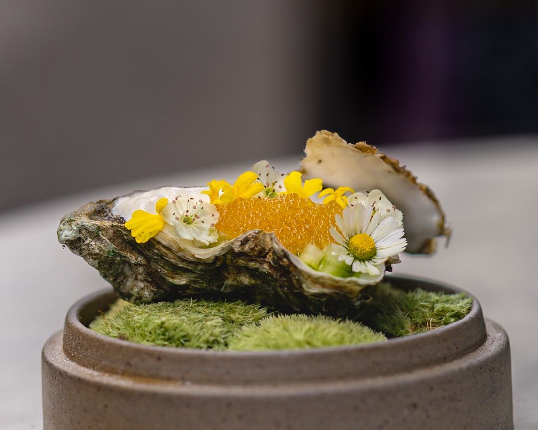 Menu Carte Blanche et accord mets/vins pour deux