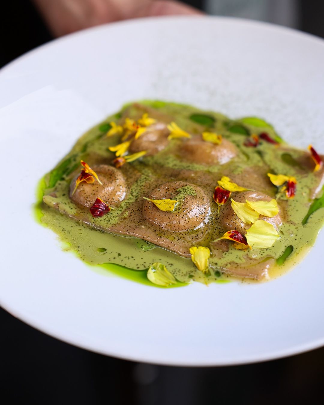 Ravioles servies dans une sauce verte avec des pétales de fleurs jaunes, présentées sur une grande assiette blanche.