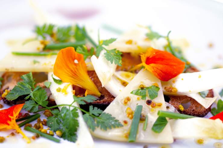 Salade colorée avec légumes frais, fleurs comestibles et herbes aromatiques

