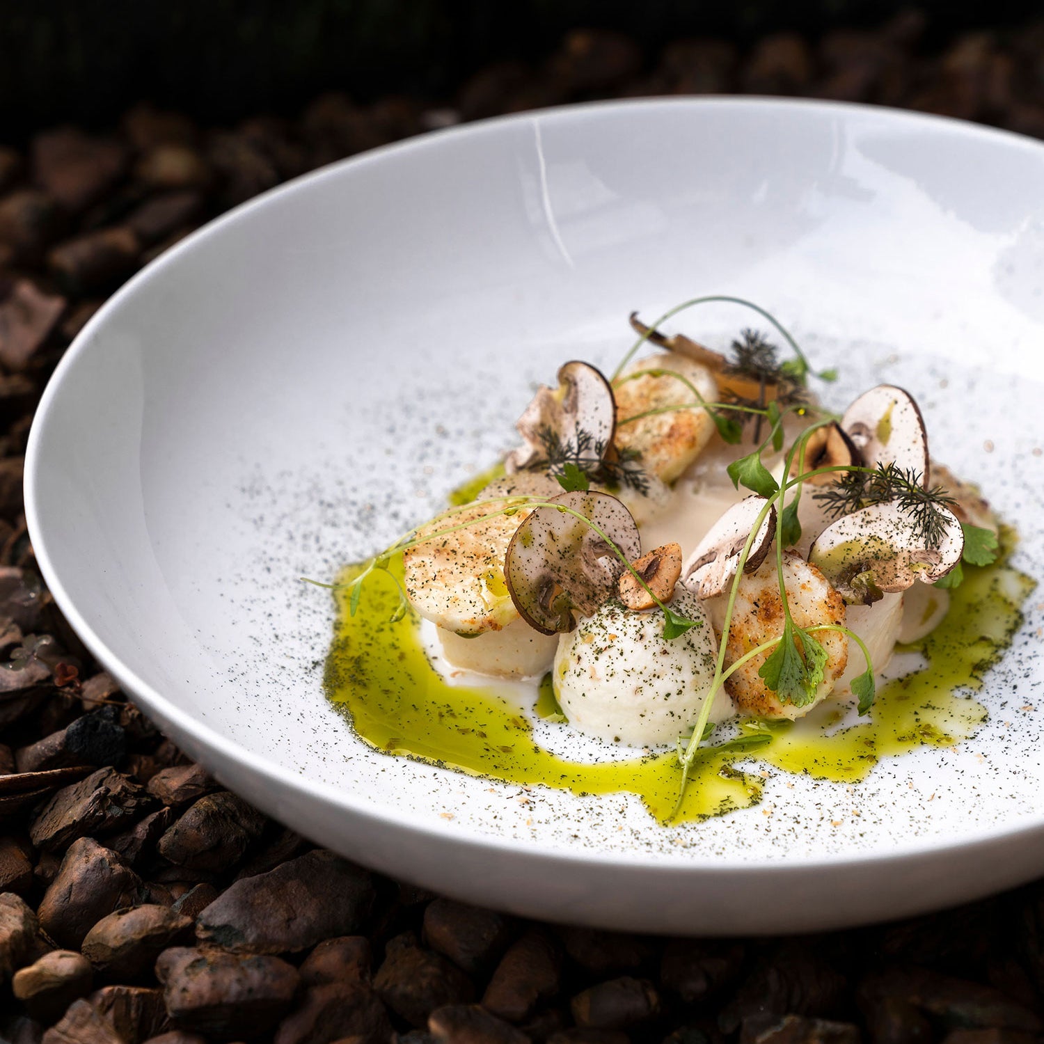 Assiette gastronomique avec noix de Saint-Jacques, herbes fraîches et sauce verte